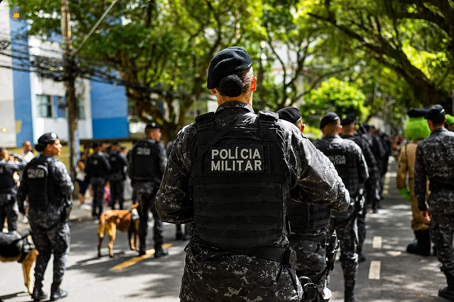 Justicia Militar Policial — Mercado & Competencia